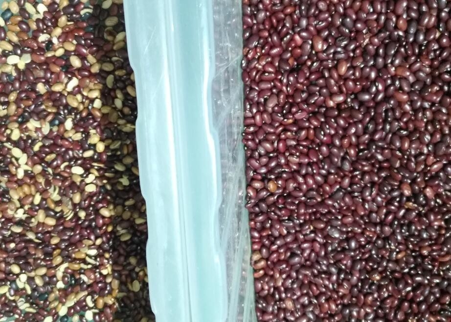 Soja Bean Color Sorter High Output für Korn-Reis-Nuss-Reis