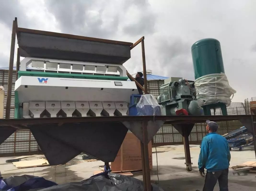 Pp.-PVC-PET-HAUSTIER-ABS-HDPE-LDPE-Plastikflocken optischer CCD-Farbsortierer intelligent