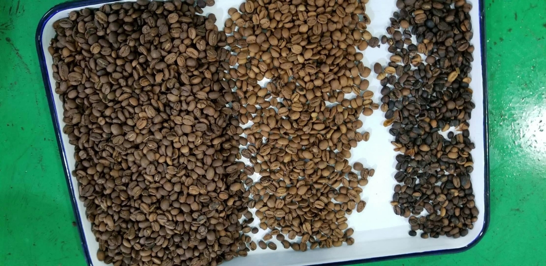 Rgb-CCD-Korn-Grün-Bohnen färben sortierende Maschine Multifunktions