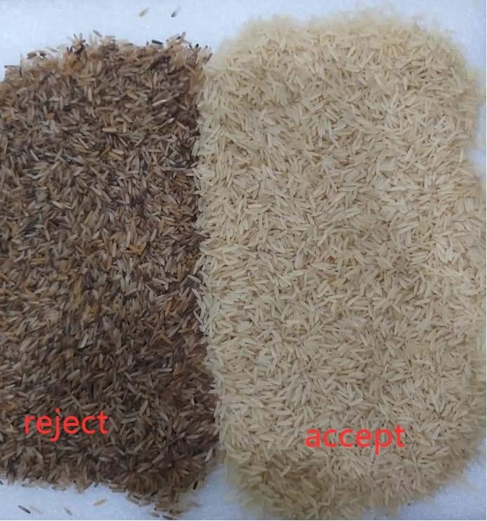 Rutschen des WENYAO Parboiled Japonica Sorghum Rice-Farbsortierer-8