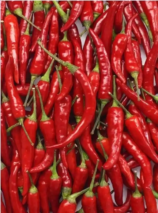 Kamera Peperoni-Chili Belt Color Sorter Withs RGB