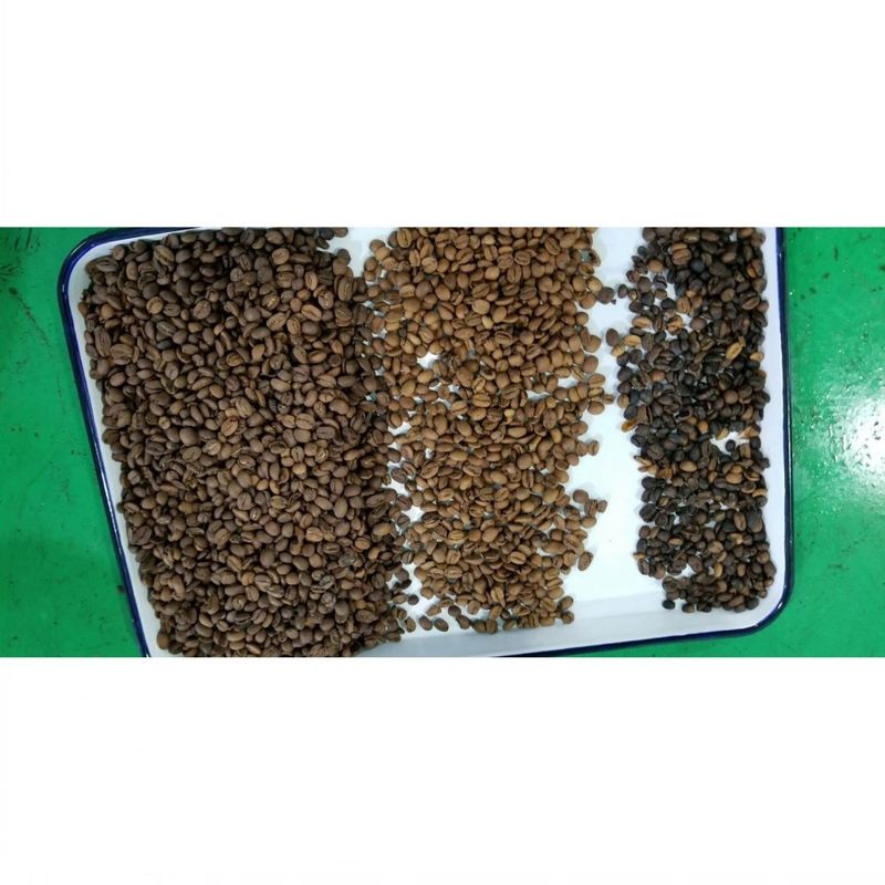 Automatischer Bohnen-Farbsortierer, Kaffeebohnen-Sortiermaschine, multifunktionaler Separator für Sojabohnen, Linsen, Kichererbsen