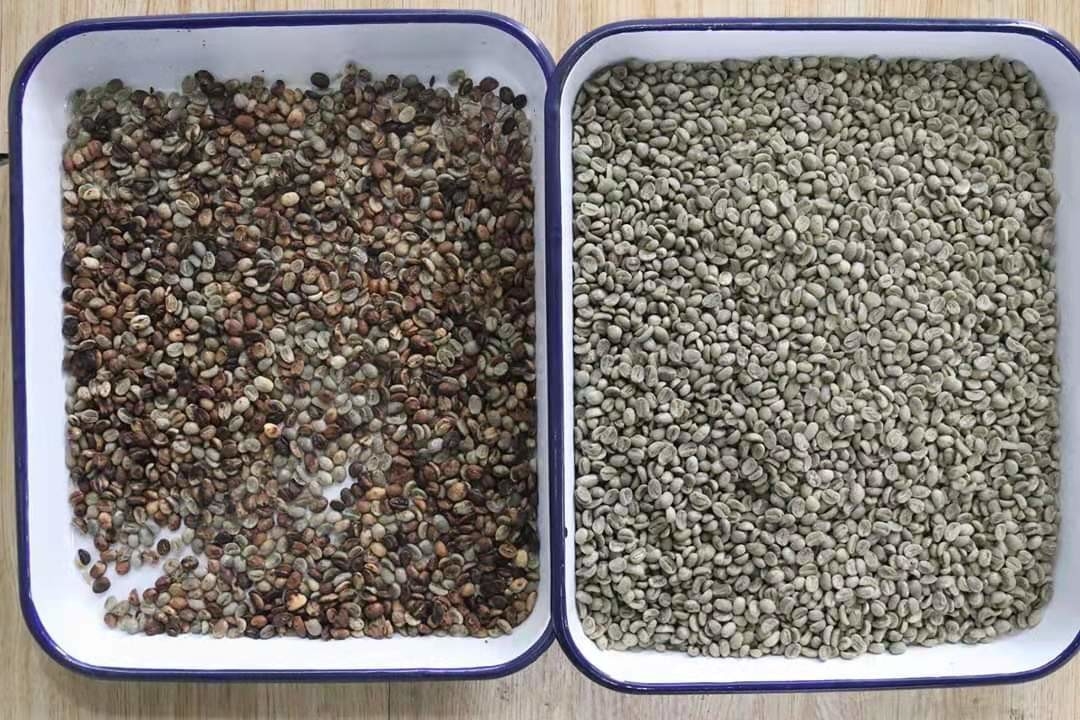 Optische Rutschen RGB-CCD-Nieren-Bean Mung Bean Sorting Machines 1