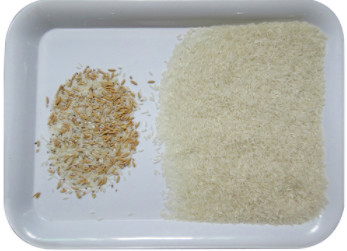 WENYAO Peeled Peanuts Nuts Rice-Farbsortierer-Maschine mit CCD LED automatisch
