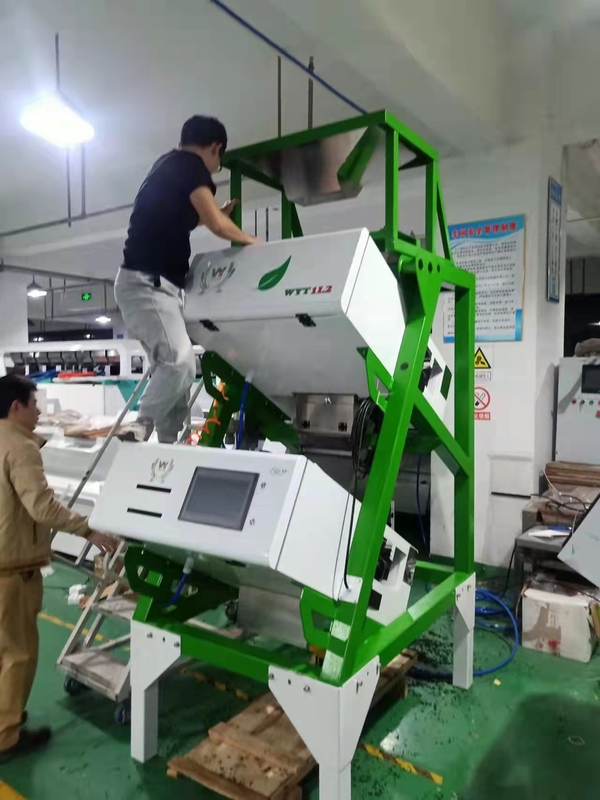 Schwarze grüne rote Genauigkeit Mini Tea Colour Sorter Machines 99,99%