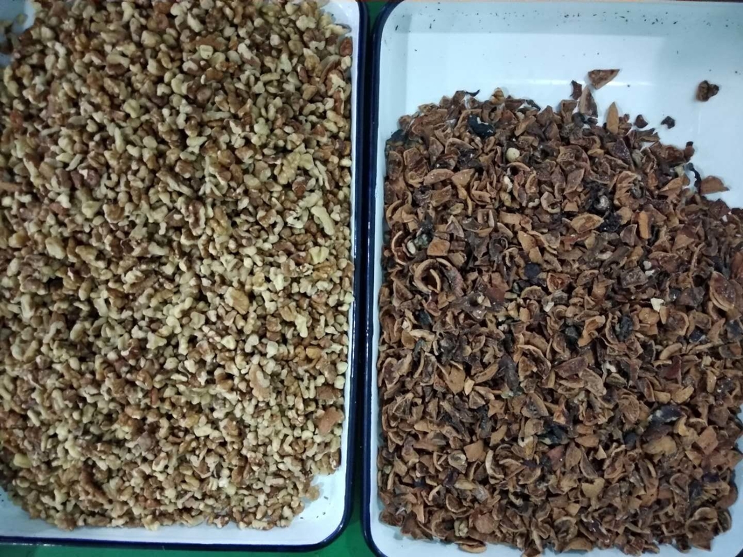 WENYAO Walnut Shell Removal Machine-Samen, der AI-Nuss-Farbsortierer-Maschine aussortiert