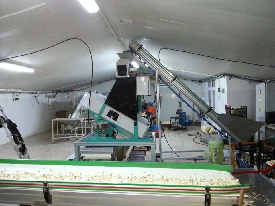 Optisches CER intelligenter 8 Rutschweizen-Paddy Grain Color Sorter CCDs CER-ISO9001