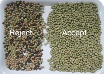 Wifi-Fernsteuerungs-Wenyao Beans Intelligent Automated Sorter-Cer-Zertifikat