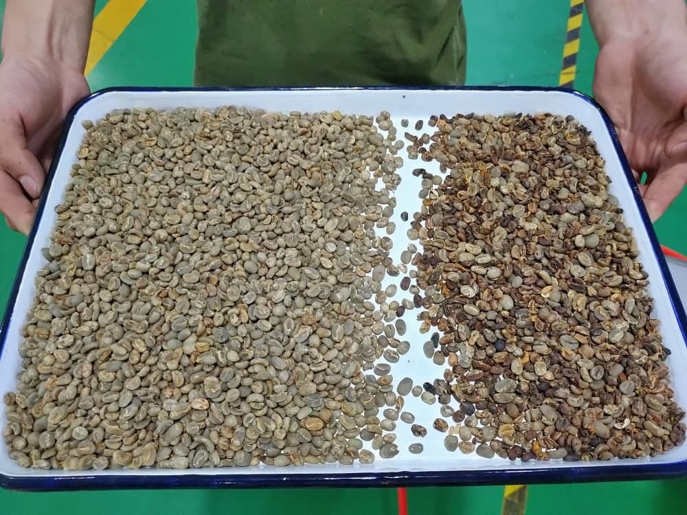 Wenyao Hochgenauigkeit Farbsorter Bohnen Getreide Getreide Weizen Mais Samen Teeknüsse Farbsorter Wifi Fernbedienung