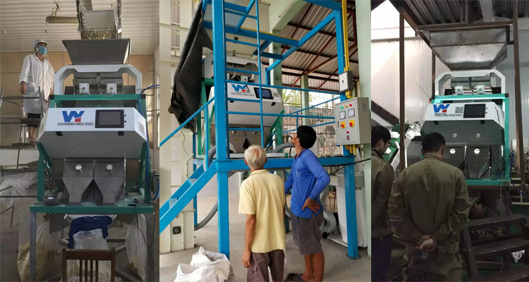 Wifi-Fernsteuerungs-Wenyao Beans Intelligent Automated Sorter-Cer-Zertifikat