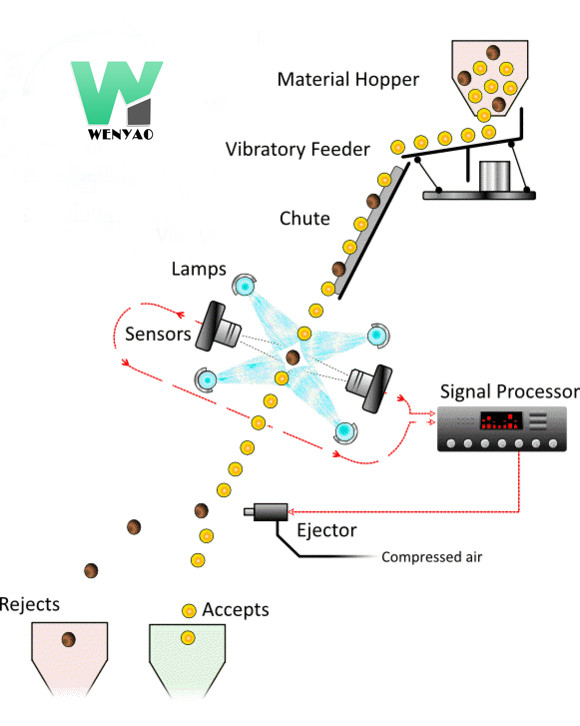 Chia Seeds Color Sorter Machine mit Bildanalyse-und AI-Selbstlerntechnologie