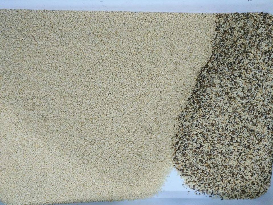Chia Seeds Color Sorter Machine mit Bildanalyse-und AI-Selbstlerntechnologie