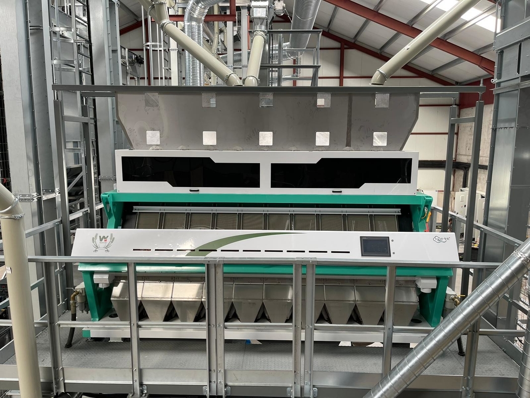 Plastikpartikel bereiten sortierende Maschine optischen PET Plastikfarbsortierer auf