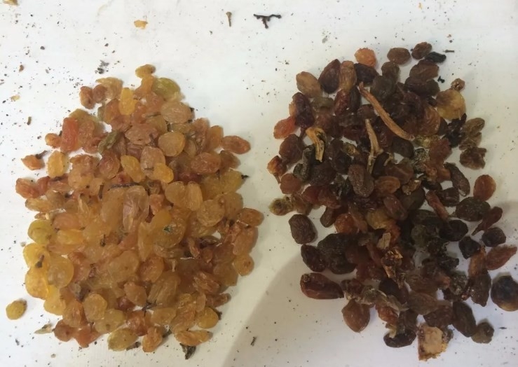 Kaffee-Bean Nuts Color Sorter AI CCD-Trennzeichen-Sojabohnen-Reis-sortierende Maschine