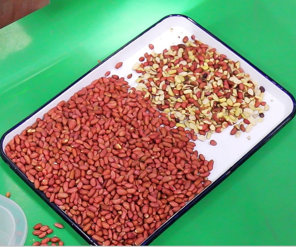 Kaffee-Bean Nuts Color Sorter AI CCD-Trennzeichen-Sojabohnen-Reis-sortierende Maschine