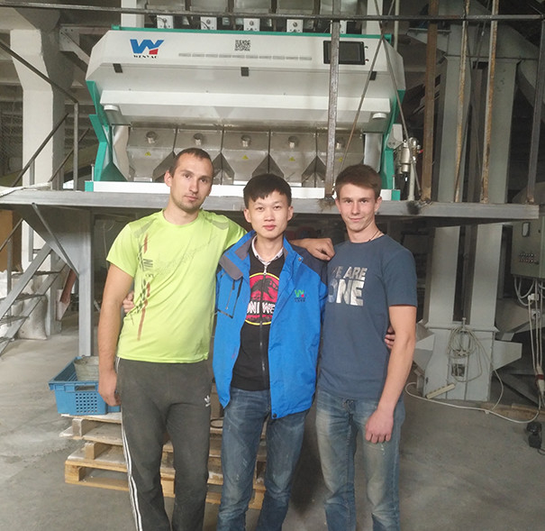 Nuss-Mandel-Rosinen-Farbsortierer-Mini Color Sorting Machine With CCD-Sensor
