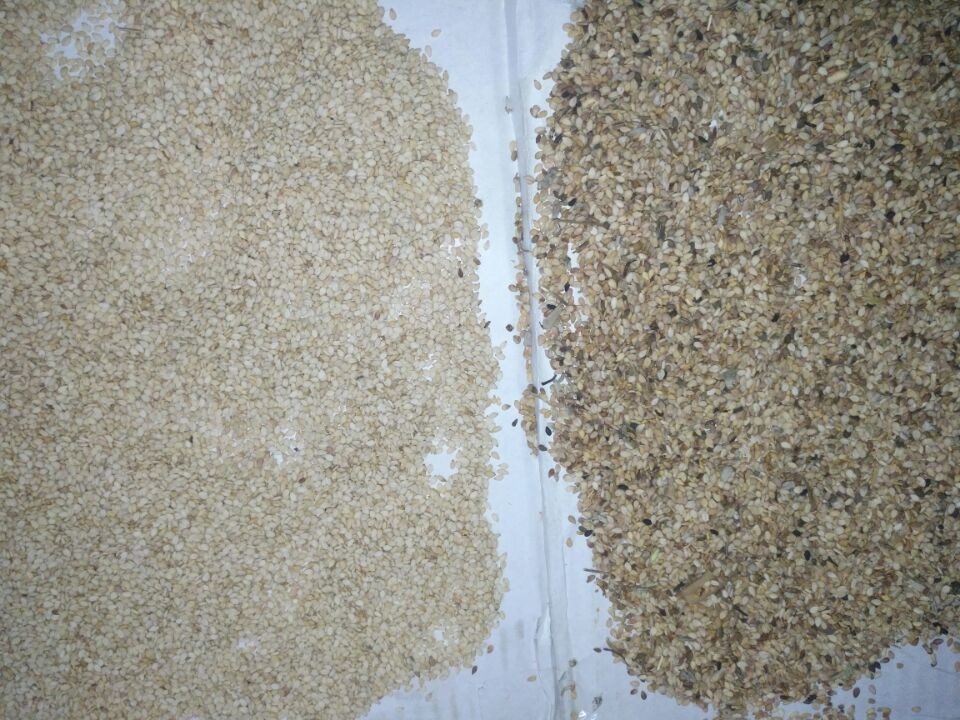 Landwirtschaftlicher AI-Samen-Farbsortierer färben intelligente CCD-Kürbiskerne sortierende Maschine