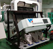 Vollautomatischer Plastikfarbsortierer-Mini Seeds Color Sorter Grain-Farbsortierer-optische sortierende Maschine