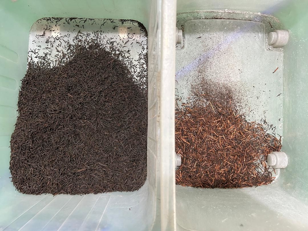 Wenyao 3 Schuppen 192 Kanäle Hohe Kapazität Medicago Ruthenica Samen Farbsortiermaschine Sonnenblumen Samen Farbsorter