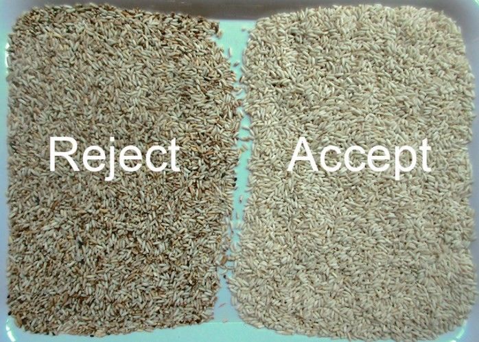 WENYAO Feinsortierung Mehrfarbdetektion für Reissortierungsvorgänge Farbsortierungsmaschine Parboiled Rice Long Grain