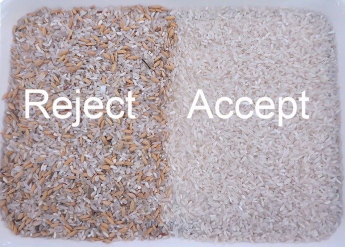 WENYAO Feinsortierung Mehrfarbdetektion für Reissortierungsvorgänge Farbsortierungsmaschine Parboiled Rice Long Grain