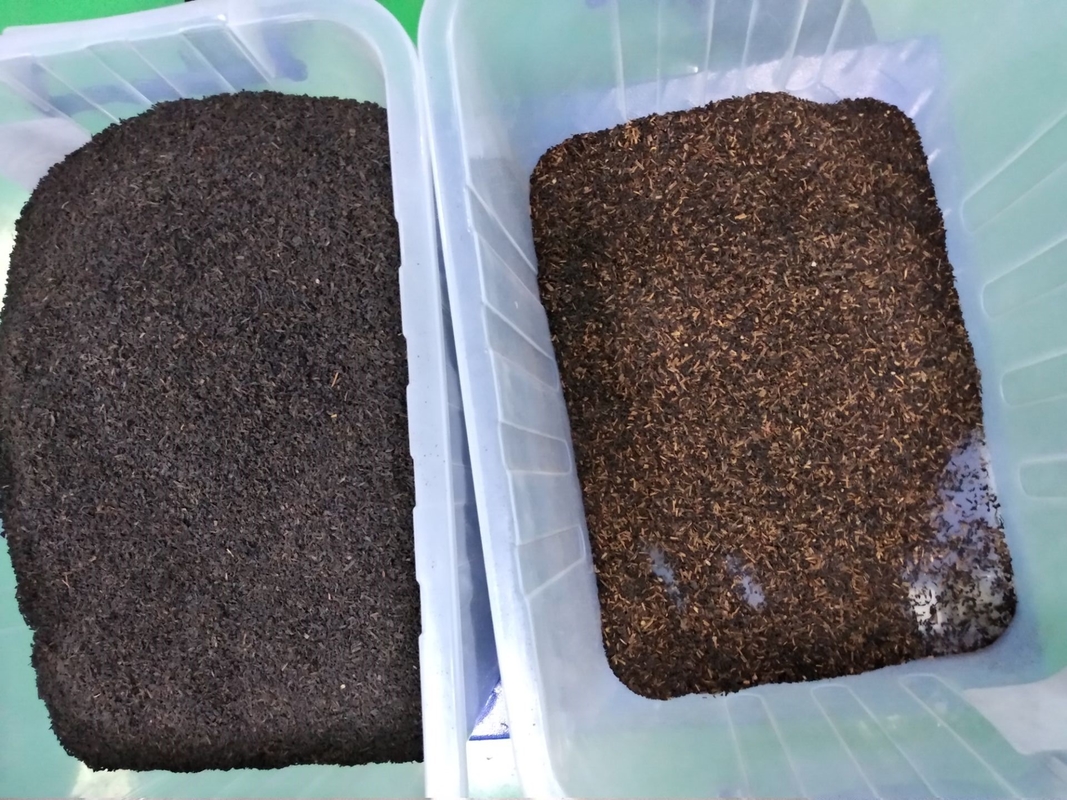 Wenyao CCD-Tee-Sortiermaschine für schwarzen Tee Grüner Tee Farbe Sortiermaschine Entfernen von Teeblattzweig Unreinheit