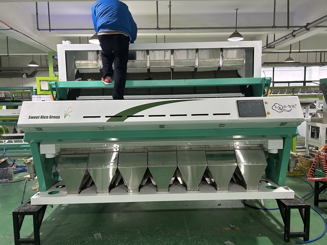 Hochgenaue Farbsortiermaschine für optische Bohnen mit CCD-Kamera