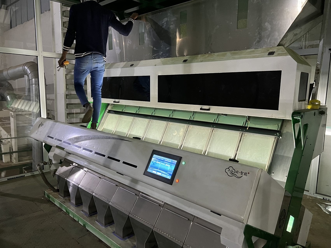 Edelstahl Material Bohnen Farbsorter mit 8 Schleusen 4 - 5 t/h