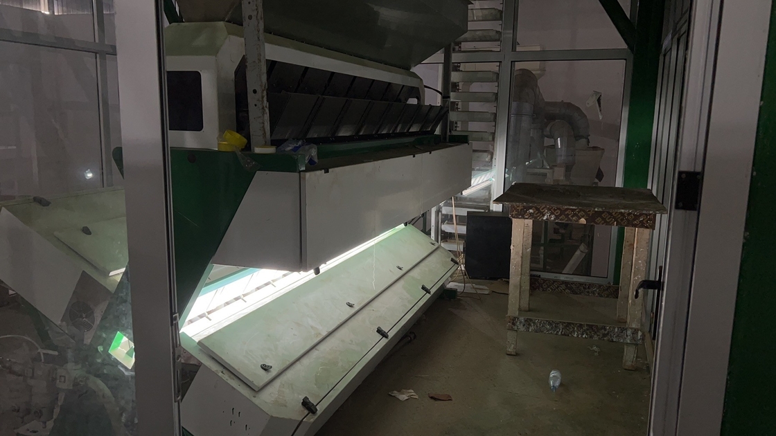 Edelstahl Material Bohnen Farbsorter mit 8 Schleusen 4 - 5 t/h