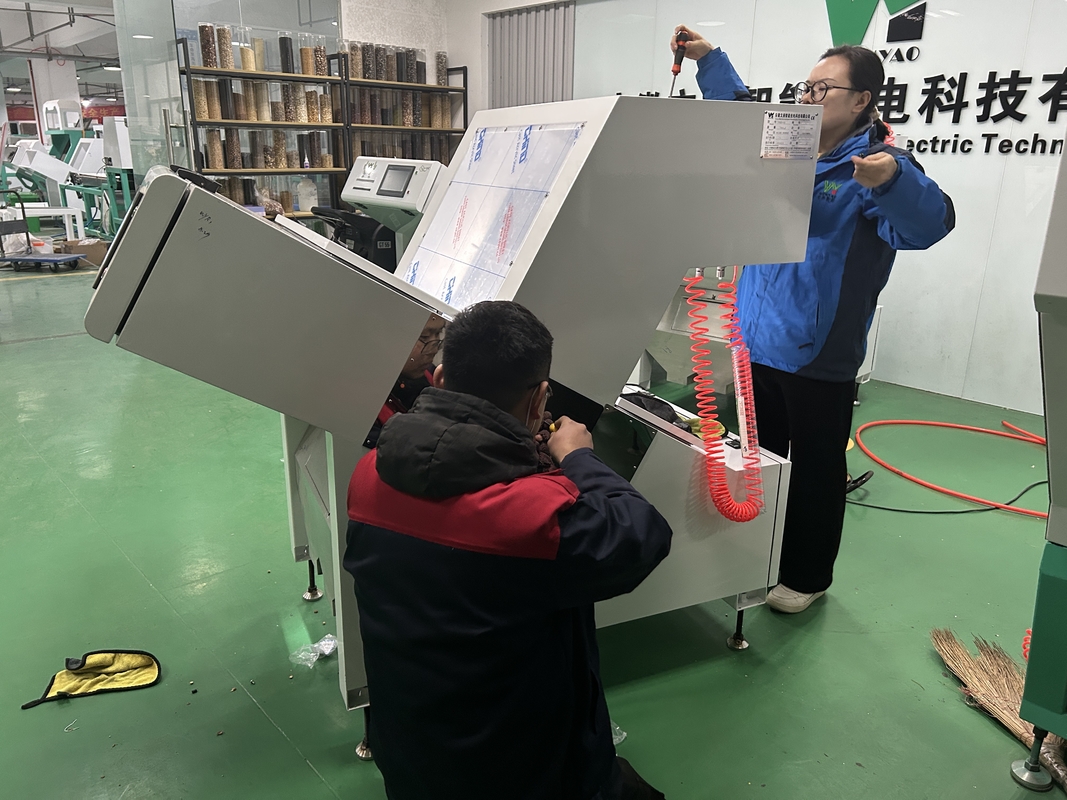 Einfach zu bedienen Kaffeebohnen Farbsorter 400 - 800t / h mit Japan Nikon Lens
