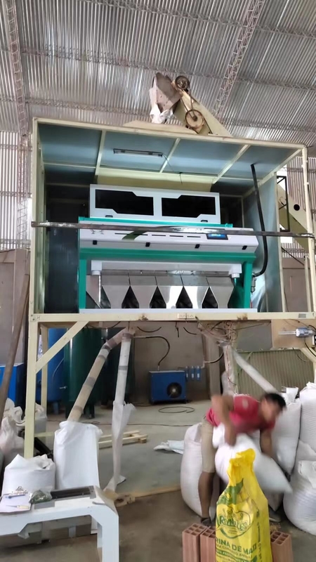 5 Schuppen Schimmelkorn Farbsorter Maschine Entfernen von Schimmelkorn Optische Kornfarbsorter für Weizen-Graderer Separator