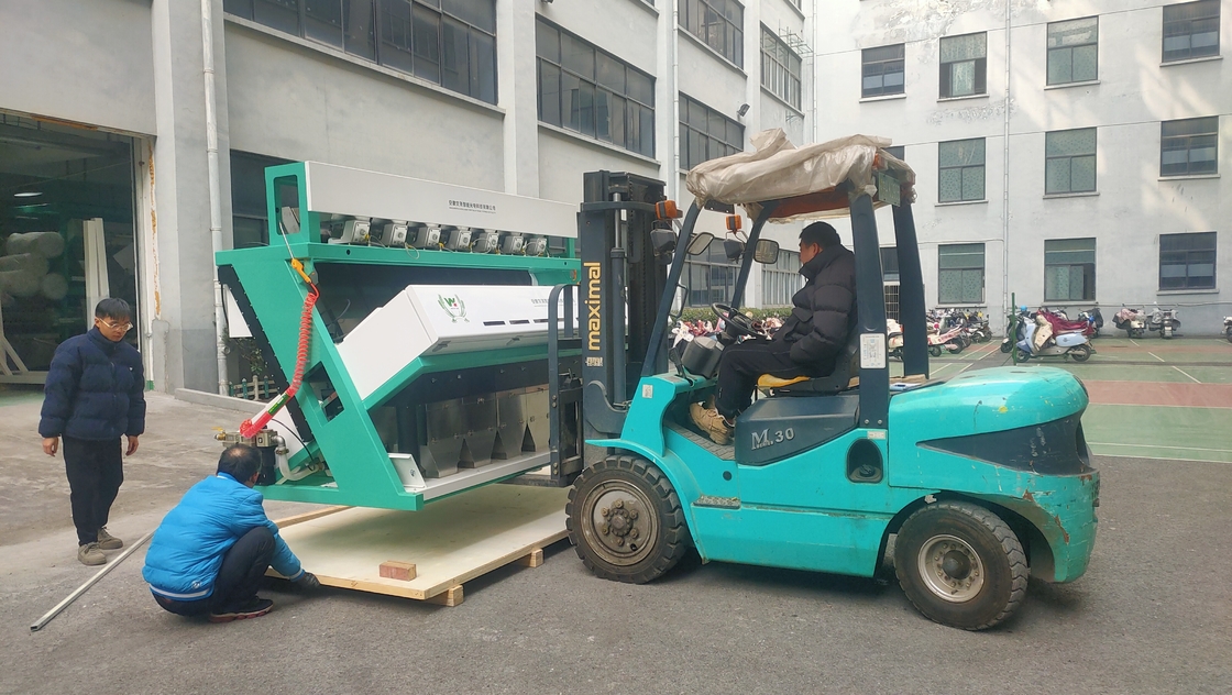 7 Schiebe Trockene Zwiebel Farb Sortiermaschine für Zwiebel Sortierung aus Hefei China