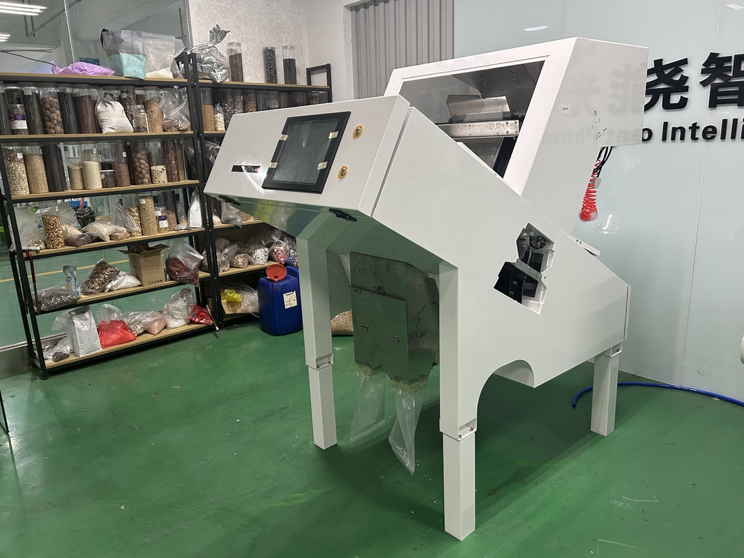 Amerika Intelligente Chip Knoblauch Farb Sorter Maschine mit LED-Licht im besten Zustand