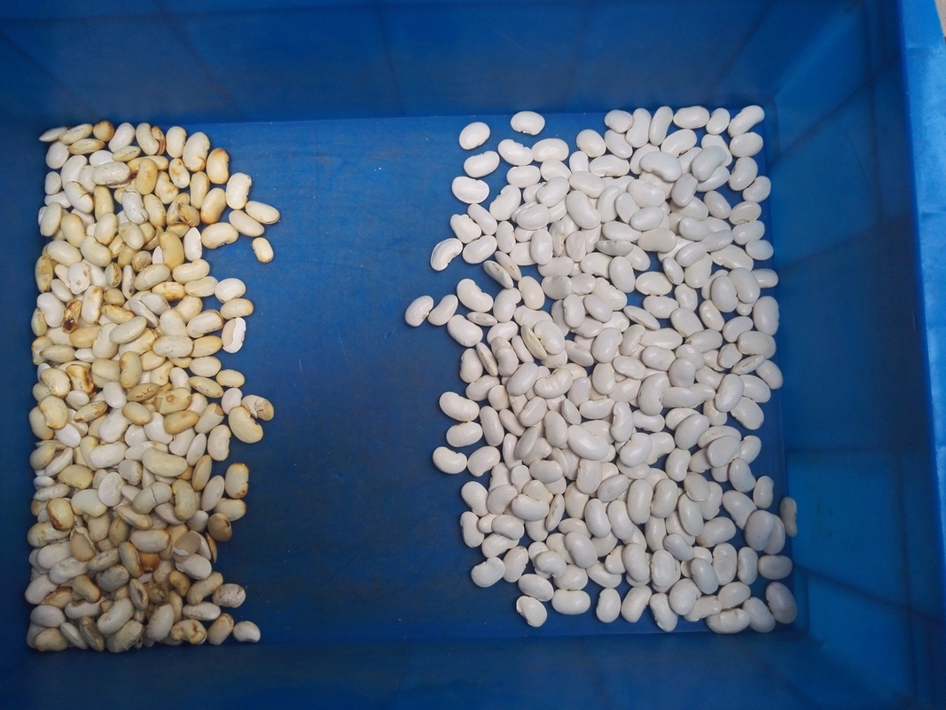 Farbsortiermaschine aus China