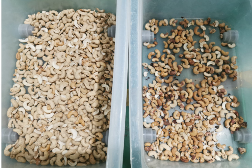 Sonnenblumenkerne Farbsortiermaschine zur Sortierung von Pistazien und Cashew-Nüssen Farbsortiermaschine