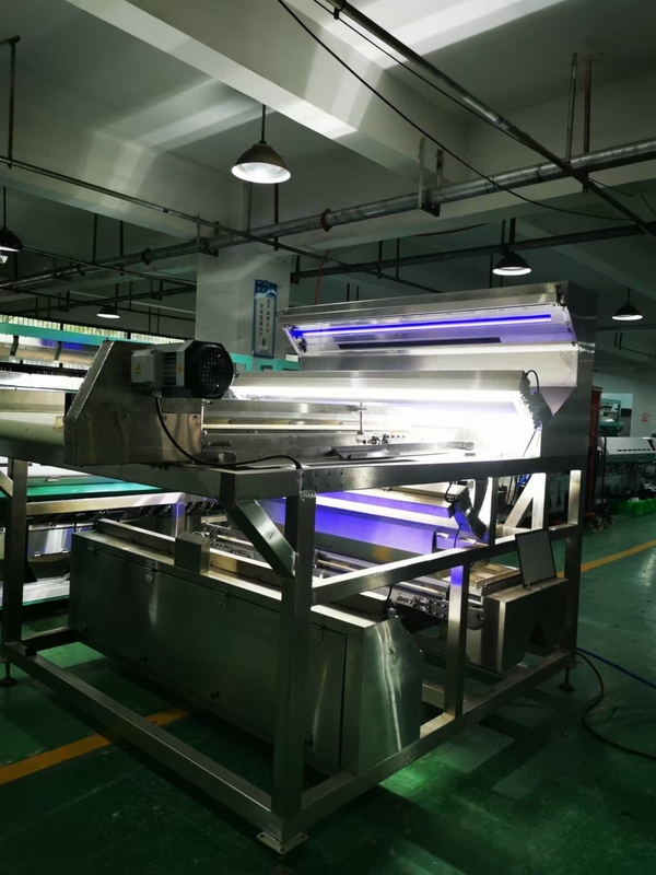 Wasserdichtes Gürtel Farbsorter für Kaffee Kirschen Seidenraupen Chrysalis gefrorenes Gemüse