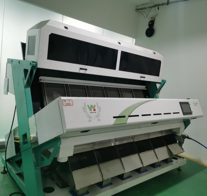 Sonnenblumenkörner Farbsortiermaschine Sonnenblumenkörner Verarbeitung Maschine