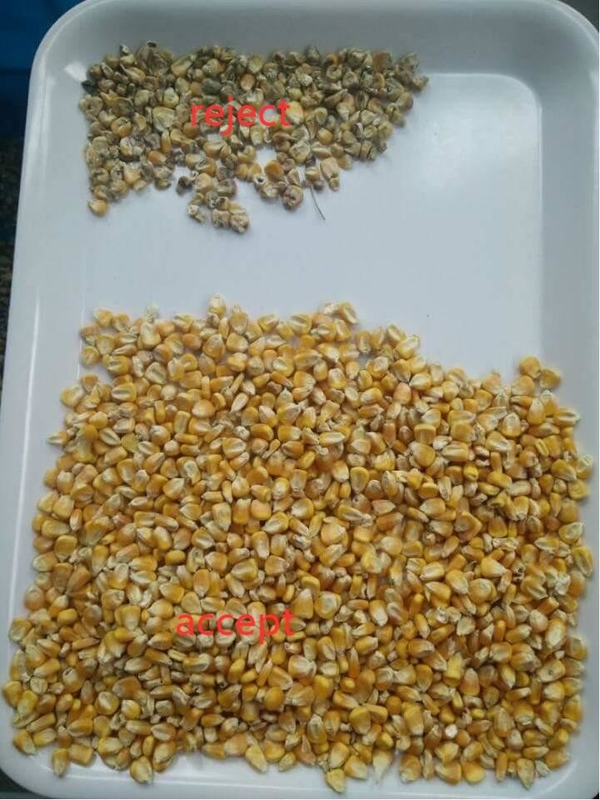 Wenyao große Produktionskapazität Weizen Sortiermaschine Getreide Farbsorter