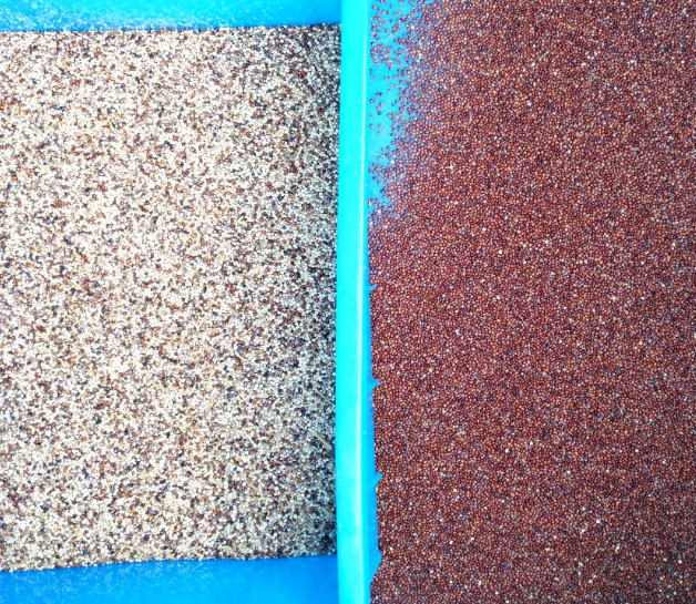 Quinoa-Samen Farbsortiermaschine Langkorn Parboiled Rice Farbsortierer Optischer Farbselektor