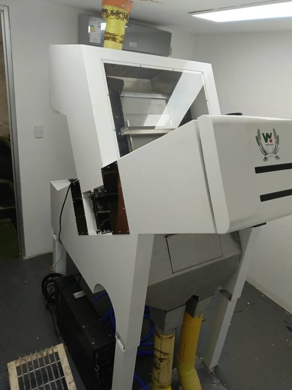 99.99% Sortiergenauigkeit Kokosfarbsorter RGB Vollfarbkameras Farbsorter