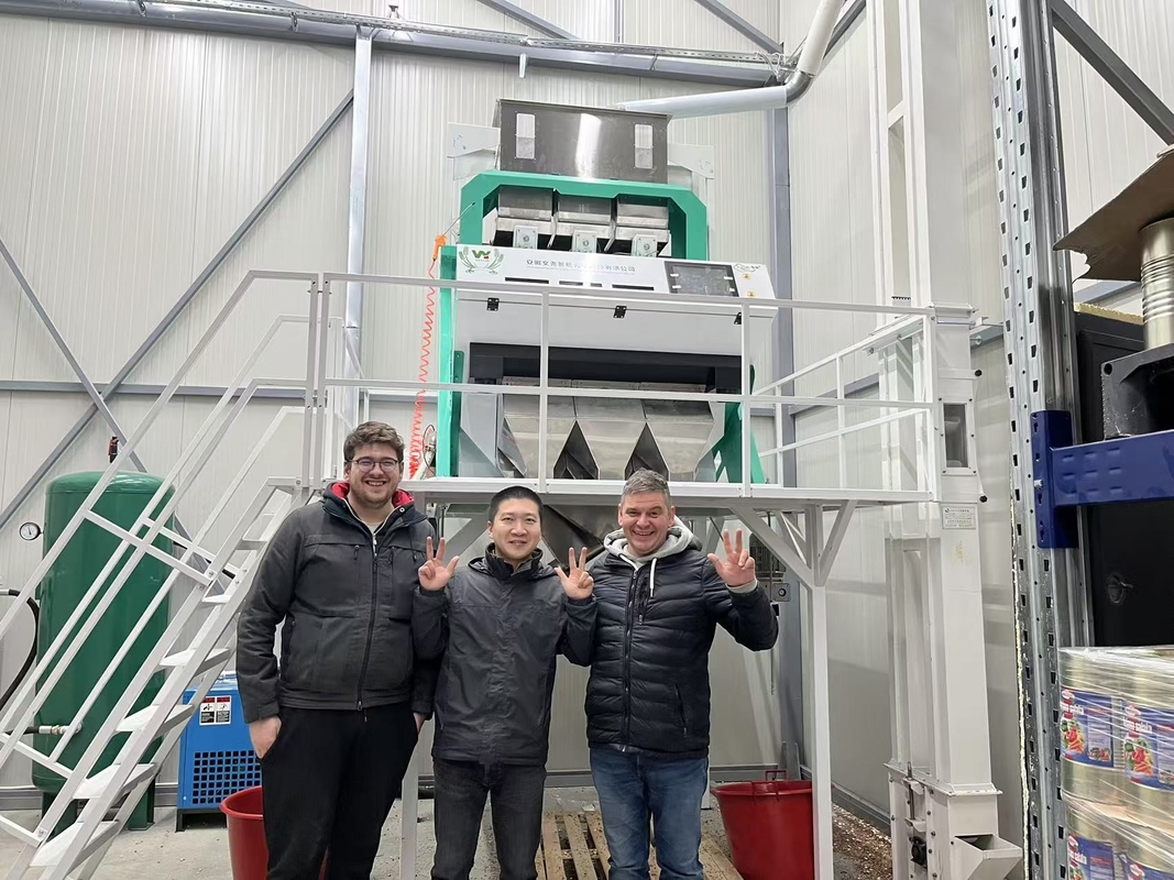 Wenyao Optical Grain Color Sorter Sortiermaschine für kleine Reismühle