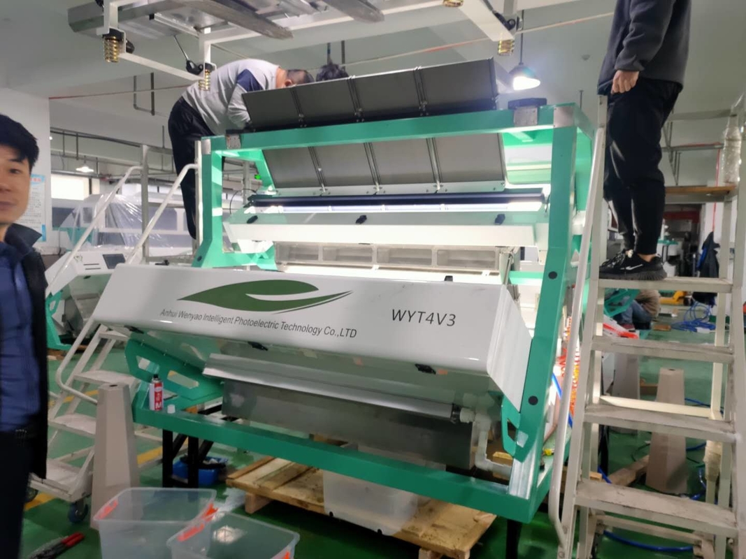 Wenyao CCD-Tee-Sortiermaschine für schwarzen Tee Grüner Tee Farbe Sortiermaschine Entfernen von Teeblattzweig Unreinheit