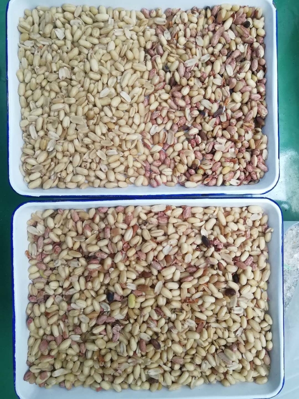 Präziser Farbsorter für eine breite Palette von Massenbestand auf der Grundlage der Produktanalyse nach Farbe