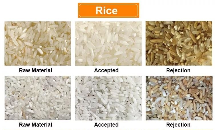 Wenyao Quinoa Kaffeebohnen Reis Getreide Farbe Sortieren Farbe Sortierer Trockenes Gemüse Saubere Sortiermaschine