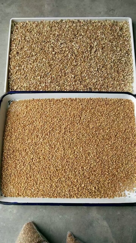 China Farbsorter Reis Weizen Optische Wenyao Farbsortiermaschine Hochpräzision Ccd Kamera 320 Kanäle