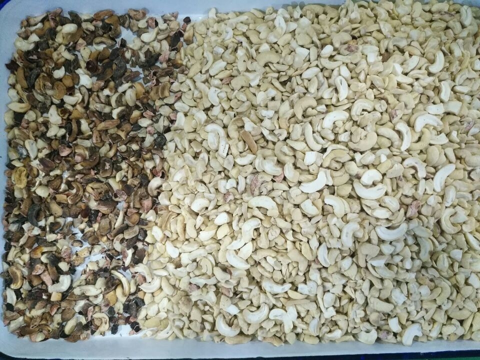 Wenyao Macadamia Farbsorter Nüsse Farbwählmaschine Cashew Nüsse Sortierer