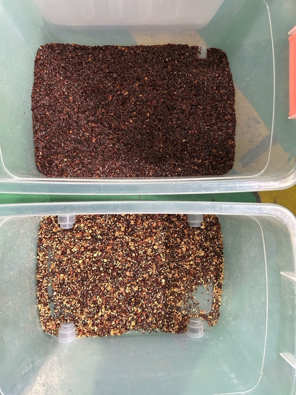Automatische Kaffeebohnen-Nuss-Farbsorter Farbtrennmaschine Bohnen Sortiermaschine aus China