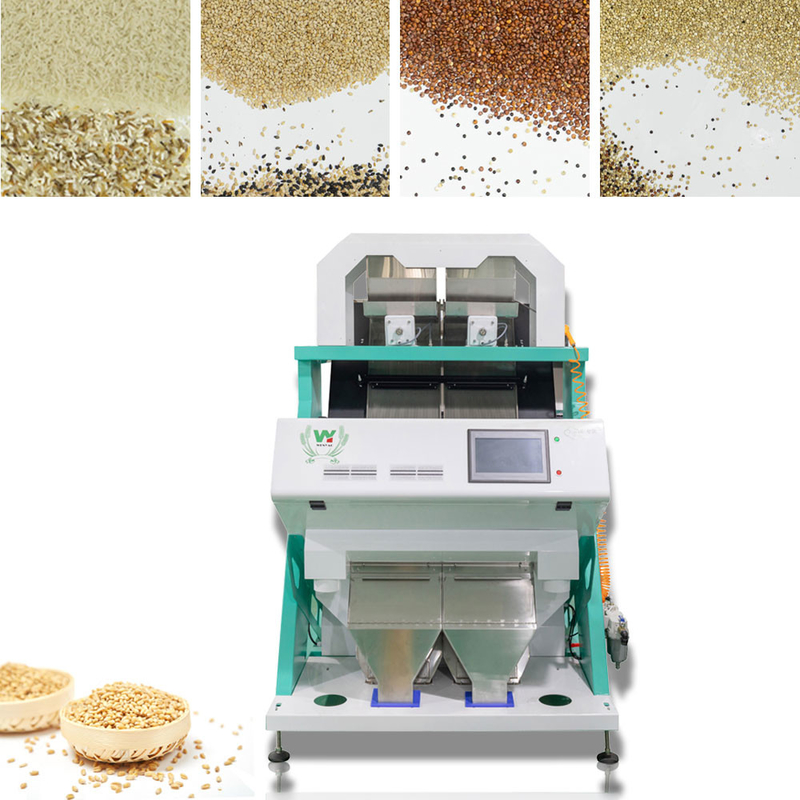 Wenyao Hochpräzisions Sortiermaschine für die Sortierung von Macadamia-Nüssen