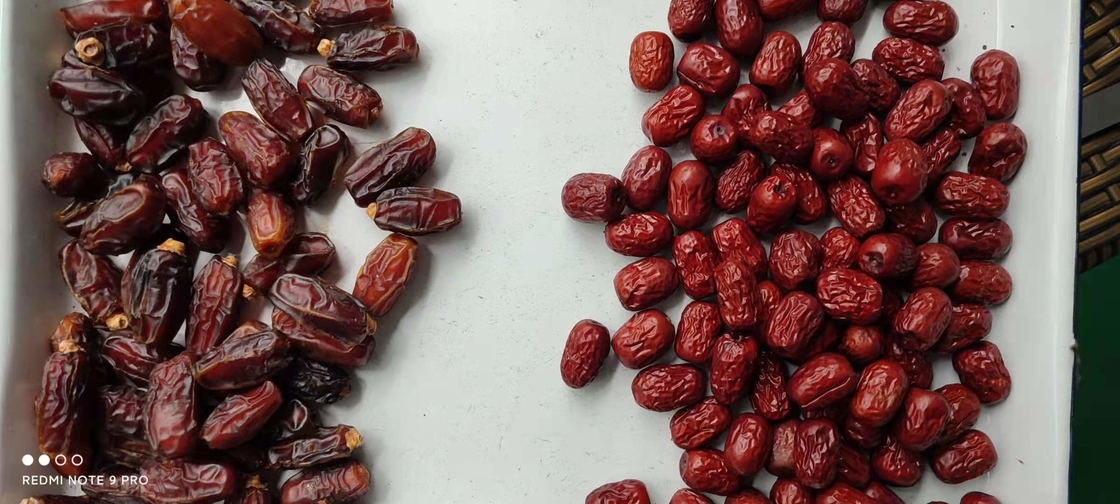 LED-Lichtquelle und Maschinenfunktion Form Sorter Hochkapazität Gürtel Farb Sorter für Jujube Datum Sortieren