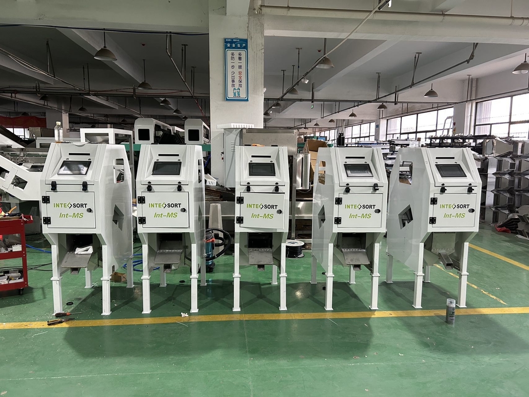 WYCS1-32 Intelligente Macadamia-Nuss Cashew CCD Sortiermaschine Reis-Selektor Maschine Getreide Farbsorter niedriger Preis